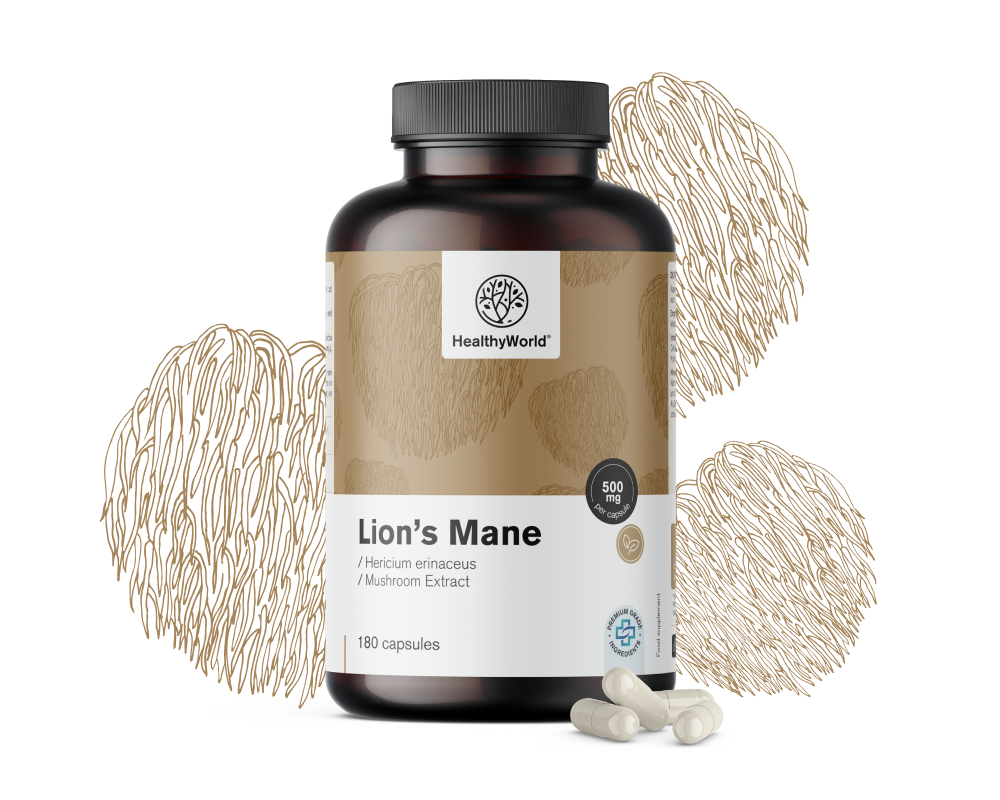 Lion's Mane Mushroom