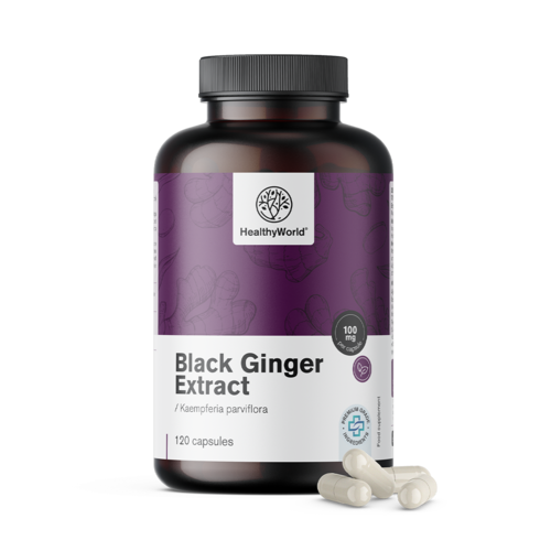 Black Ginger Extract, 120 capsules