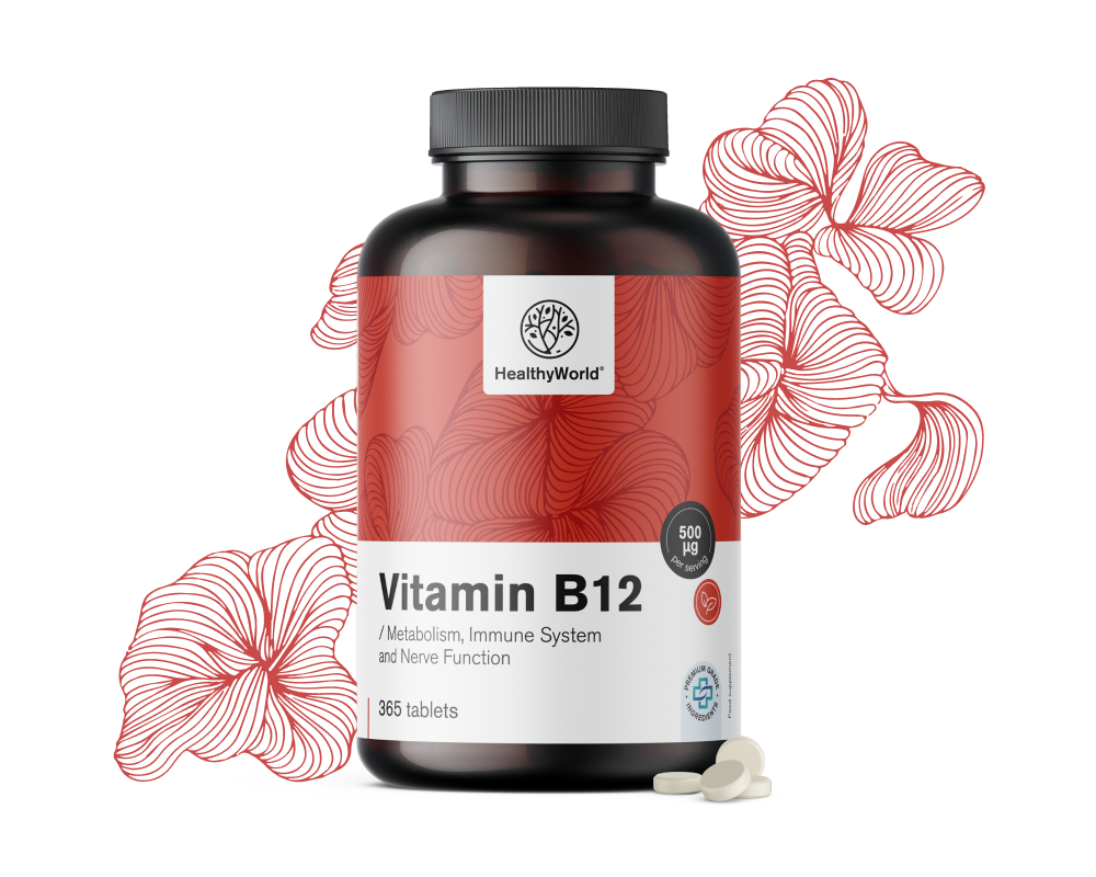 Vitamin B12 500 µg
