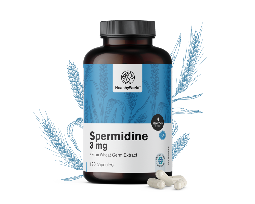 Spermidine 3 mg - from Wheat Germ Extract