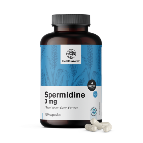 Spermidine 3 mg - from Wheat Germ Extract, 120 capsules