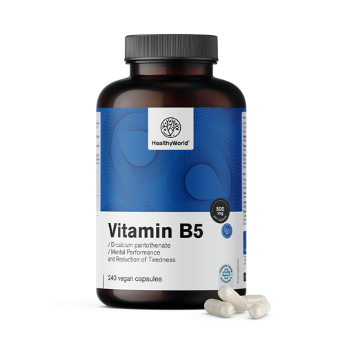 Vitamin B5 500 mg, 240 capsules