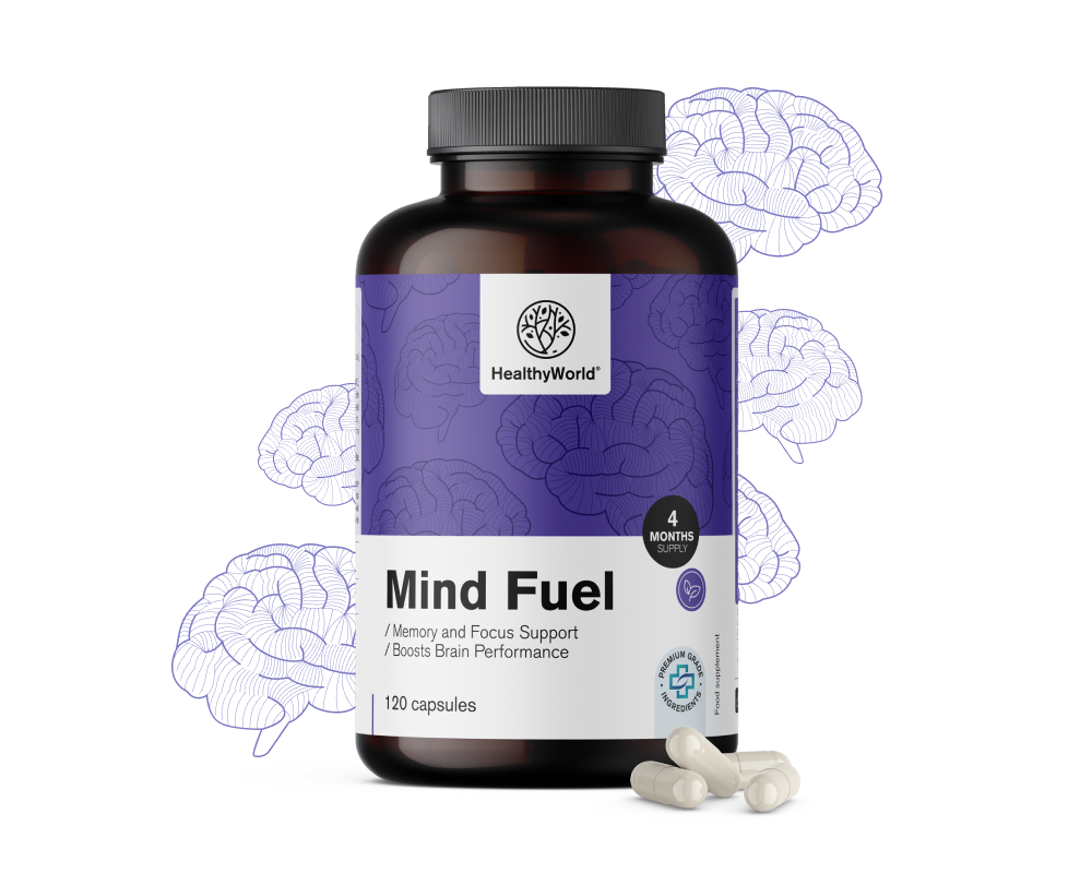 Mind Fuel - Memory and Focus