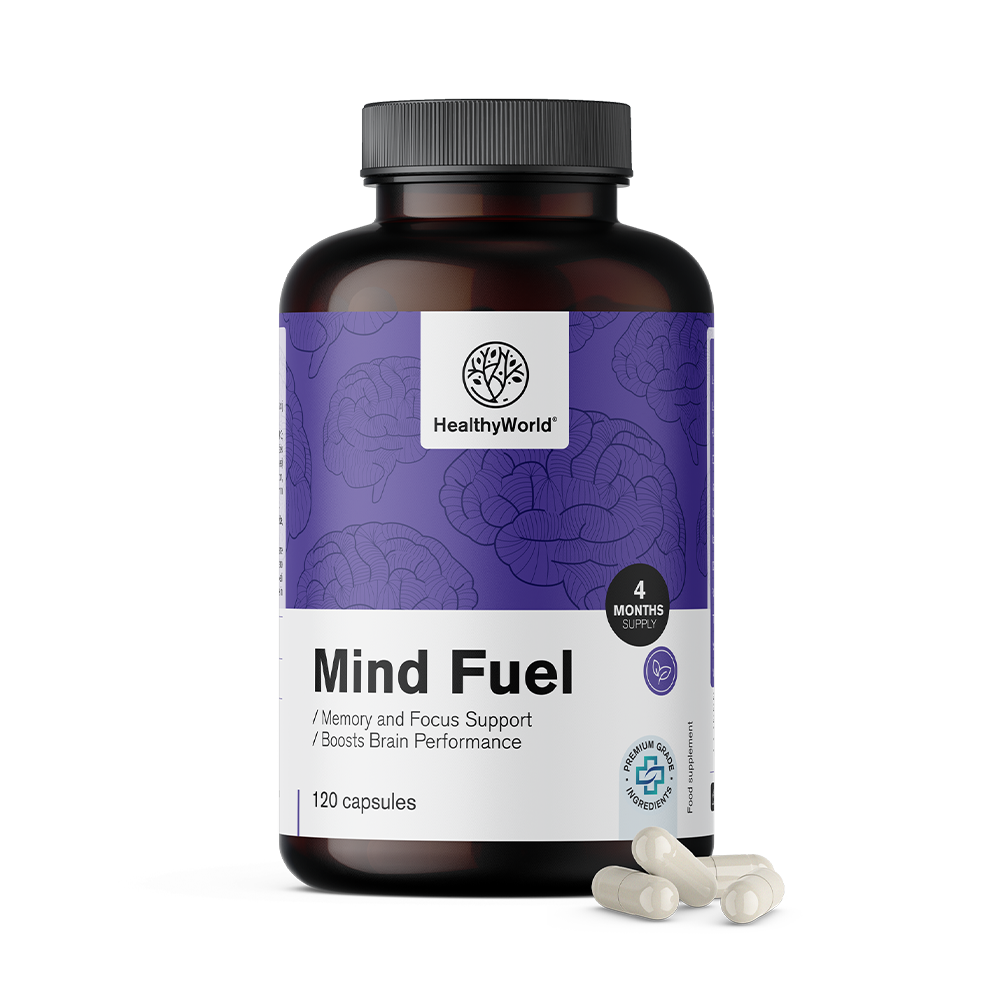 Mind Fuel - Memory and Focus