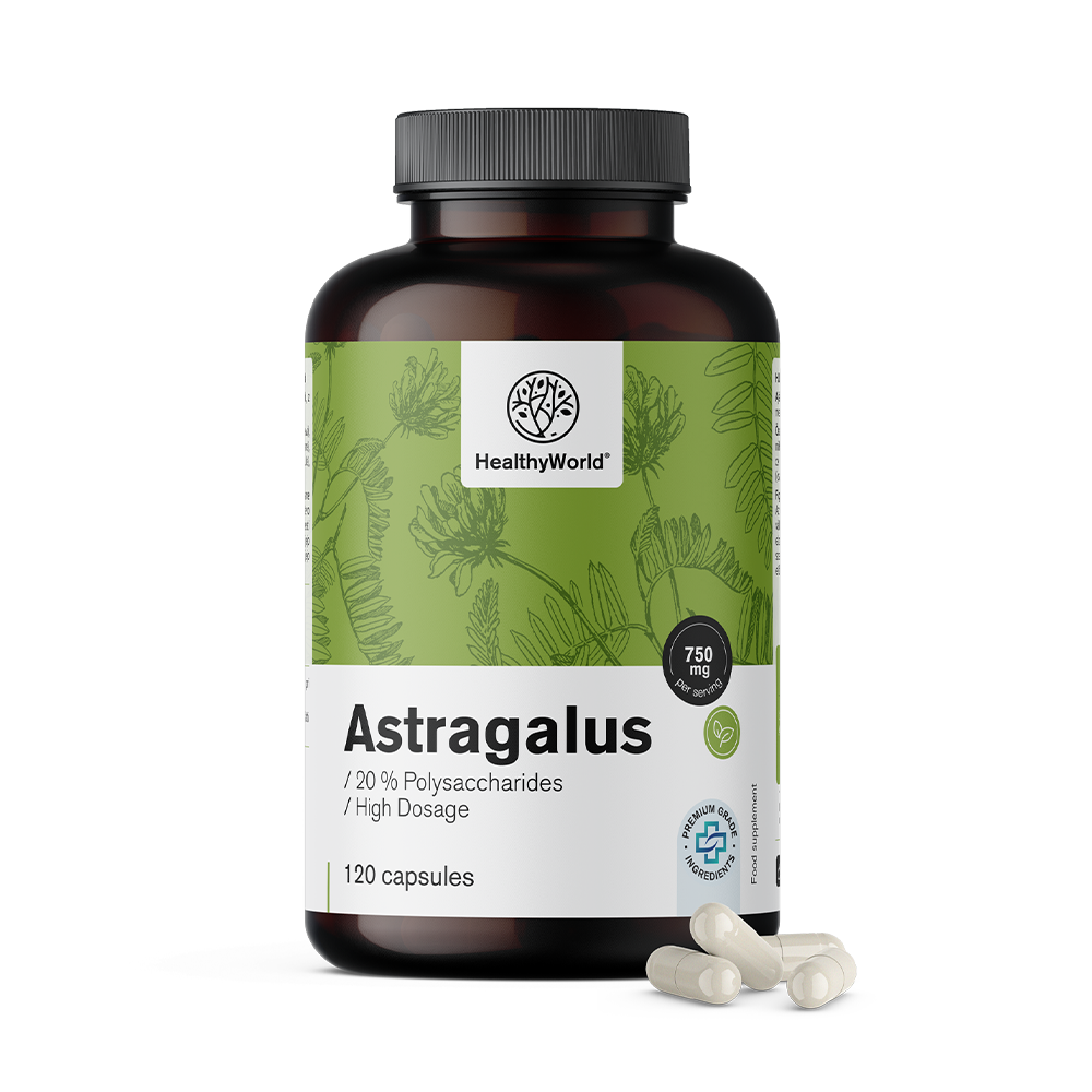 Astragalus – Extract