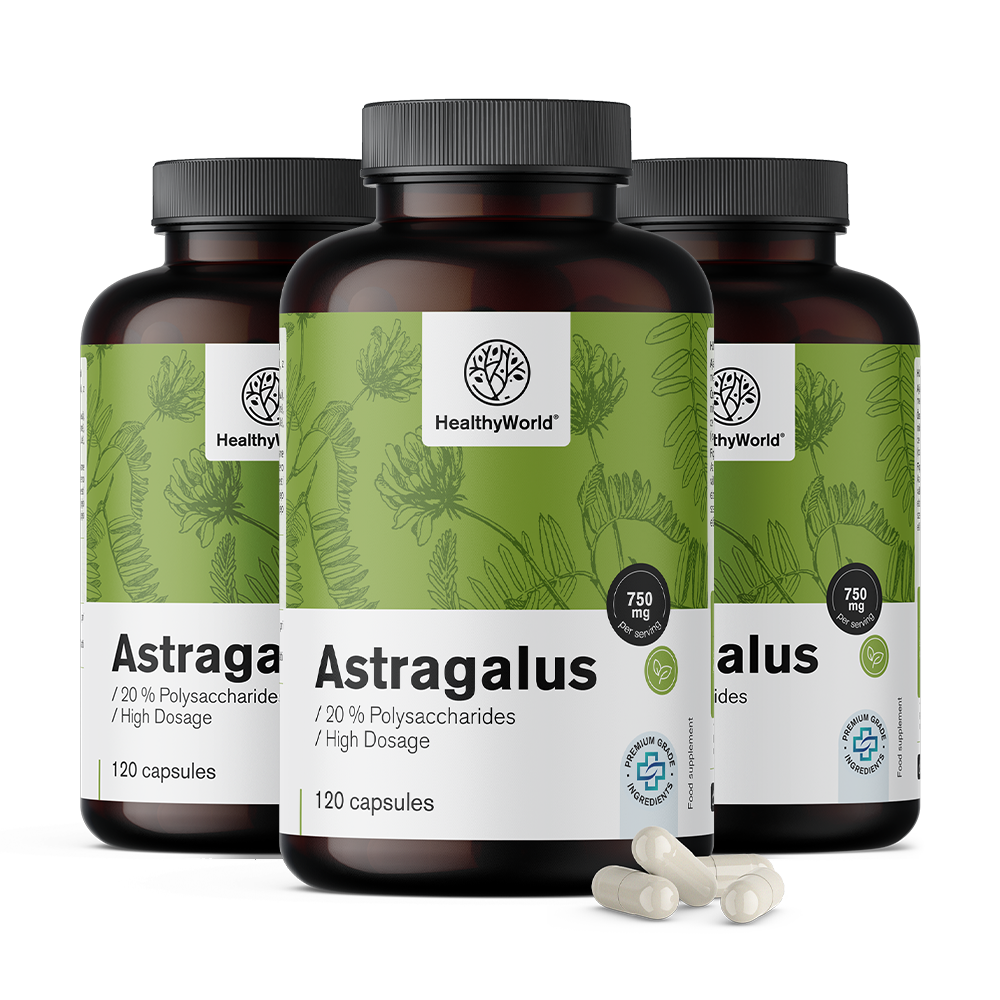 Astragalus – Extract