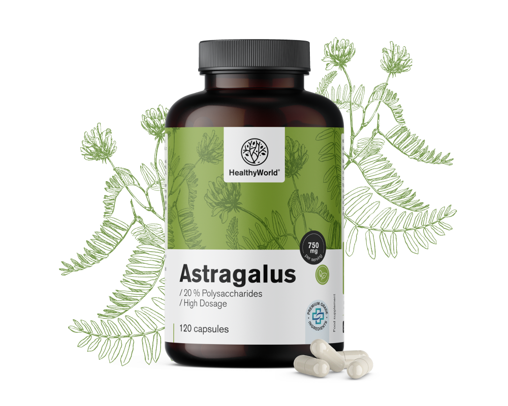 Astragalus – Extract