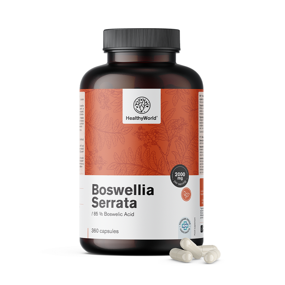 Boswellia (Boswellia Serrata) – 85 % Boswellic Acid