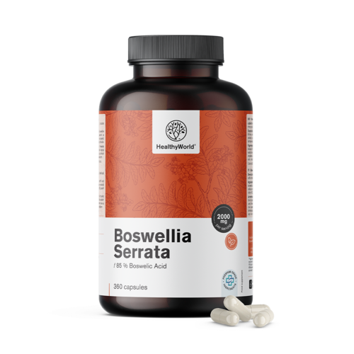 Boswellia (Boswellia Serrata) – 85 % Boswellic Acid, 360 capsules