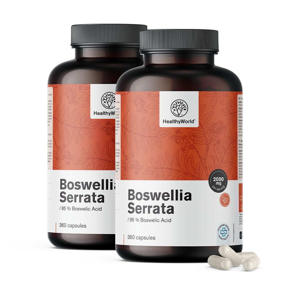 Boswellia (Boswellia Serrata) – 85 % Boswellic Acid