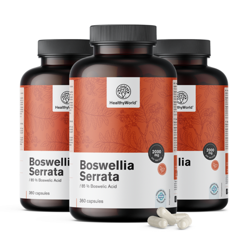 3x Boswellia (Boswellia Serrata) – 85 % Boswellic Acid, total 1080 capsules
