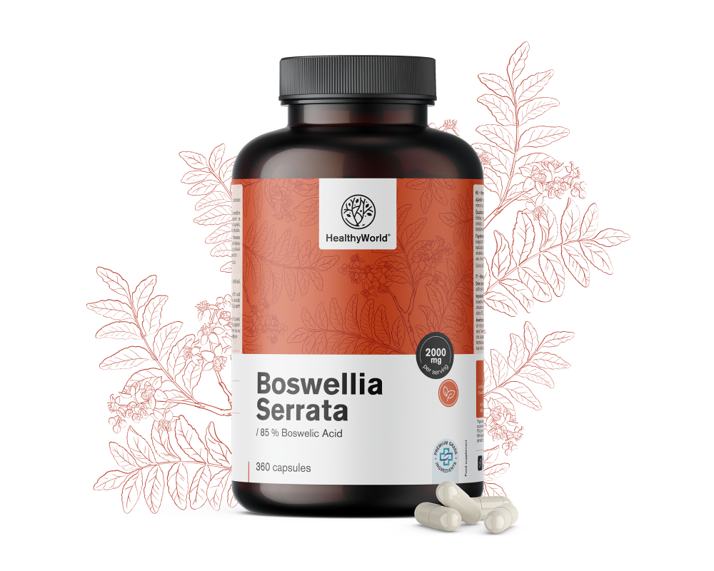 Boswellia (Boswellia Serrata) – 85% boswellic acid